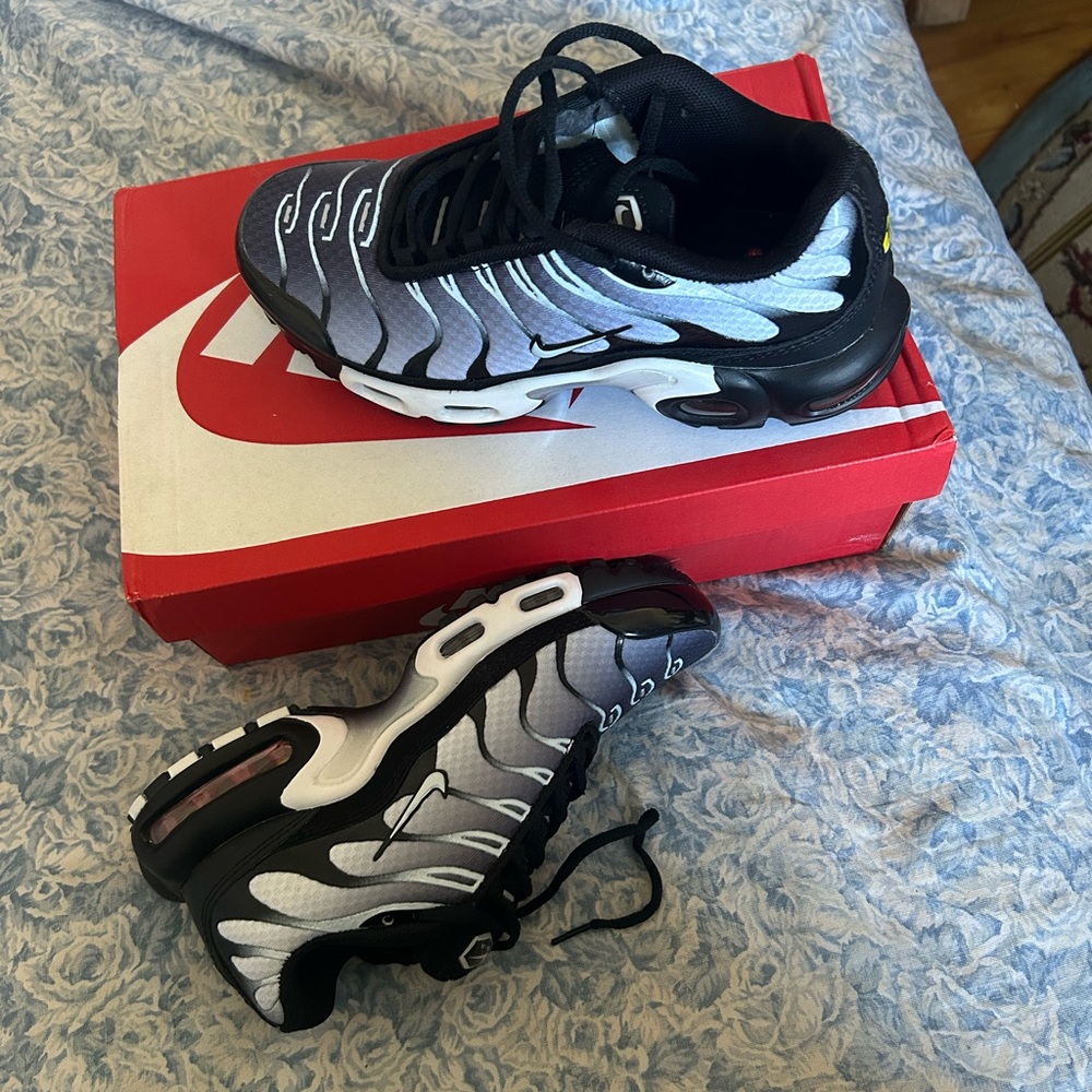 Nike Black and Gray Air Max Sneakers